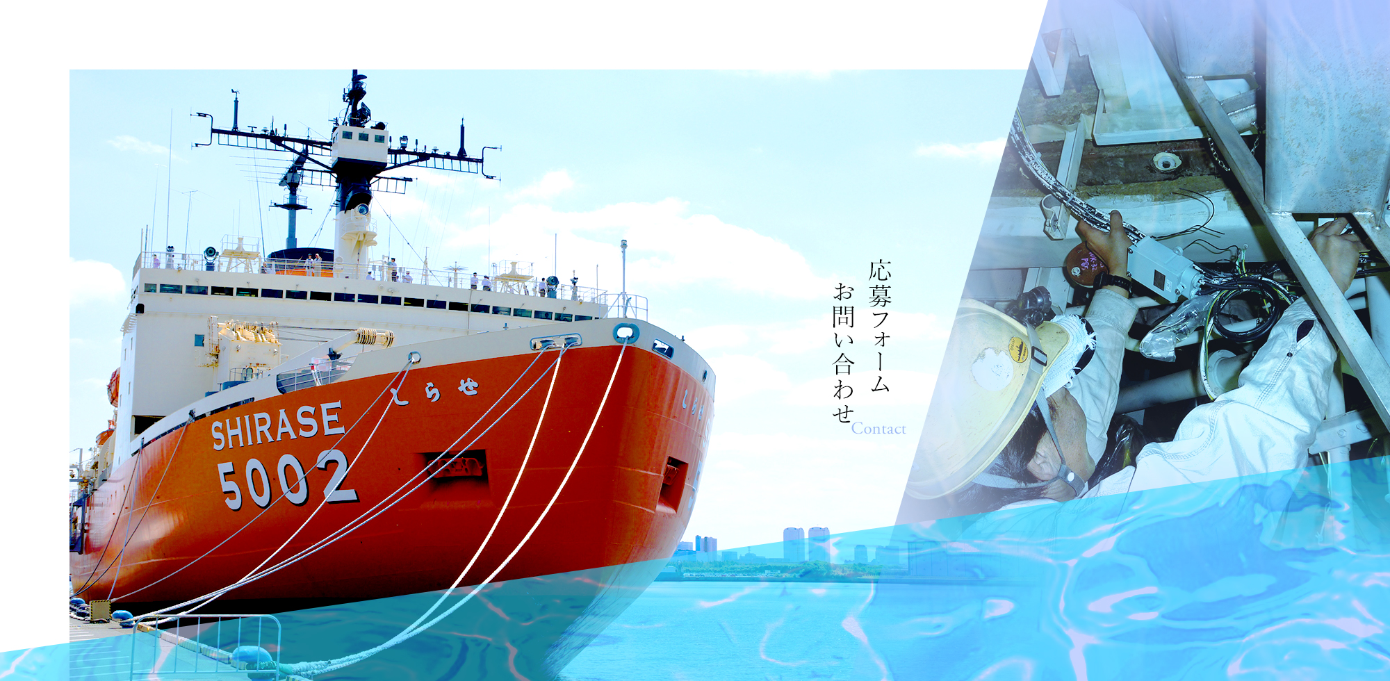 応募フォーム・お問い合わせ